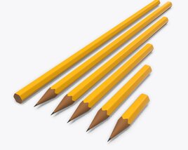 Pencils Various Sizes 3D 모델 