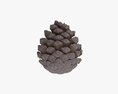 Pine Cone 3D-Modell
