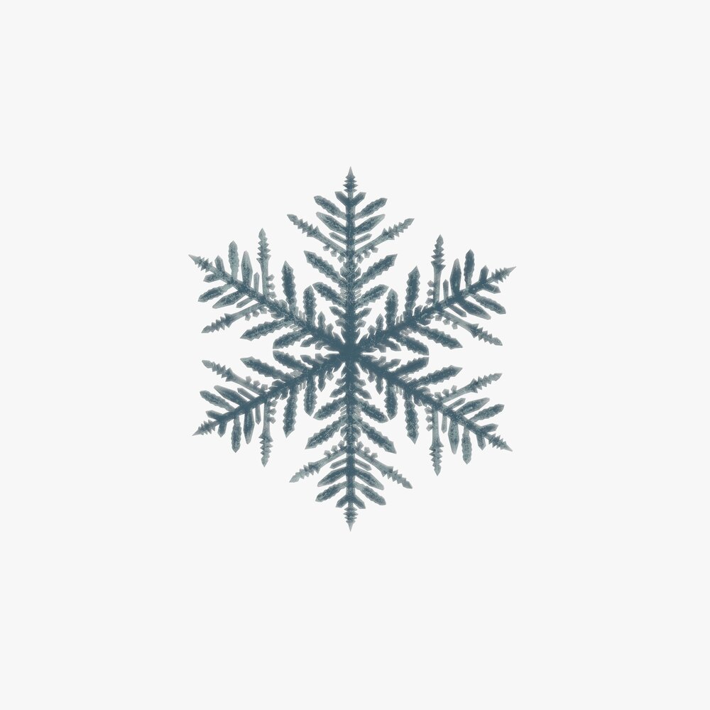 Snowflake Modèle 3D