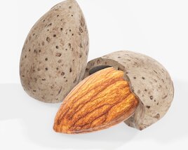 Almond Nuts 01 Modello 3D