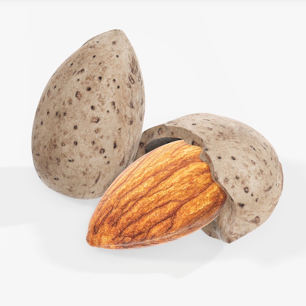 Almond Nuts 01 Modèle 3d