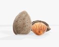 Almond Nuts 01 3D модель