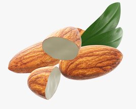 Almond Nuts 02 3D 모델 