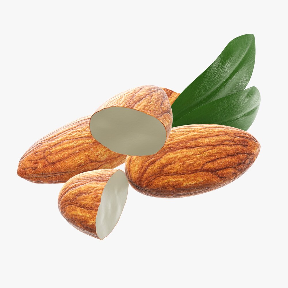 Almond Nuts 02 3d model