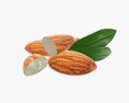 Almond Nuts 02 Modèle 3d