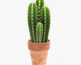 Cactus In Planter Pot Plant 01 3Dモデル