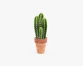 Cactus In Planter Pot Plant 01 3D-Modell