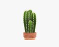 Cactus In Planter Pot Plant 01 3D модель