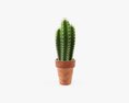 Cactus In Planter Pot Plant 01 3D模型