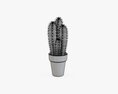 Cactus In Planter Pot Plant 01 3D модель