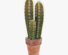 Cactus In Planter Pot Plant 02 3D-Modell