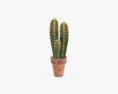Cactus In Planter Pot Plant 02 3D 모델 