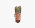 Cactus In Planter Pot Plant 02 3D模型