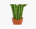 Cactus In Planter Pot Plant 03 Stylized Modello 3D