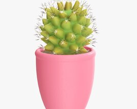 Cactus Plant In Pot 3D model