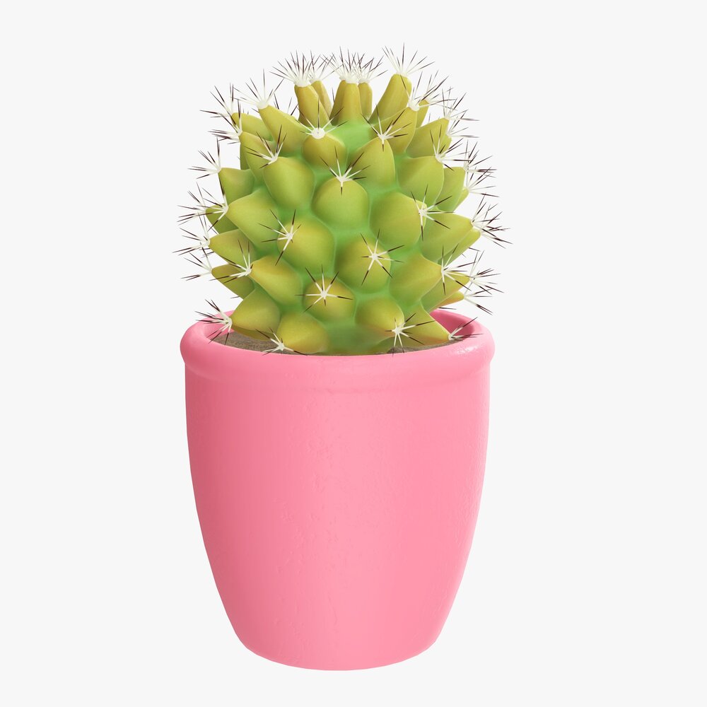 Cactus Plant In Pot Modello 3D