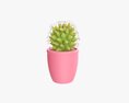 Cactus Plant In Pot 3D模型