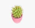 Cactus Plant In Pot 3D модель