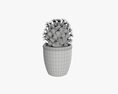Cactus Plant In Pot 3Dモデル