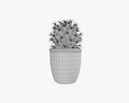 Cactus Plant In Pot 3D модель