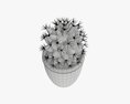 Cactus Plant In Pot 3D-Modell
