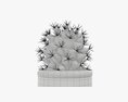 Cactus Plant In Pot 3D 모델 