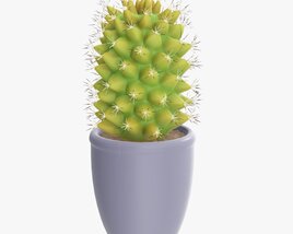 Cactus Plant In Pot Tall 3Dモデル