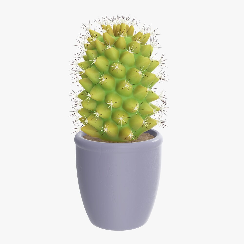 Cactus Plant In Pot Tall 3D model
