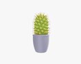 Cactus Plant In Pot Tall 3d model