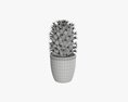 Cactus Plant In Pot Tall 3d model