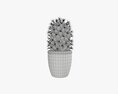 Cactus Plant In Pot Tall Modelo 3d