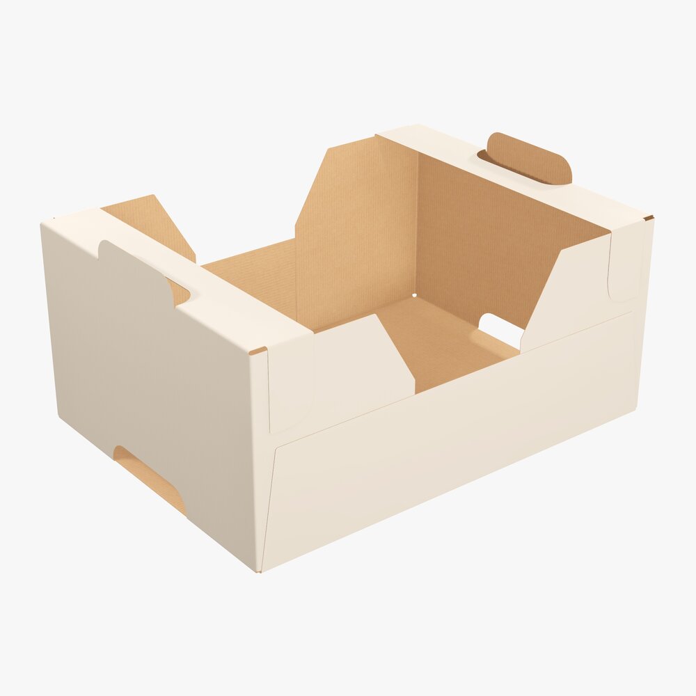 Cardboard Retail Tray Box 01 3D 모델 