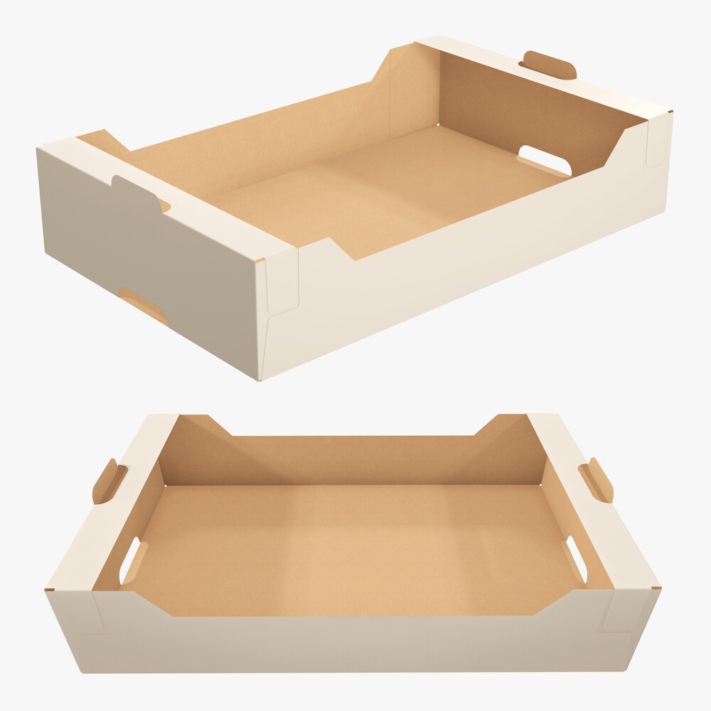 Cardboard Retail Tray Box 03 Modello 3D