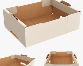 Cardboard Retail Tray Box 05 3D model