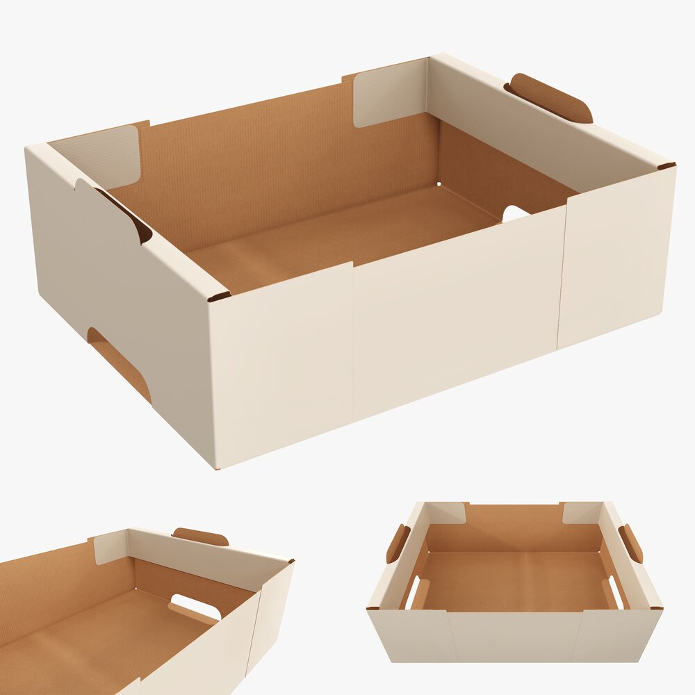 Cardboard Retail Tray Box 05 Modèle 3D