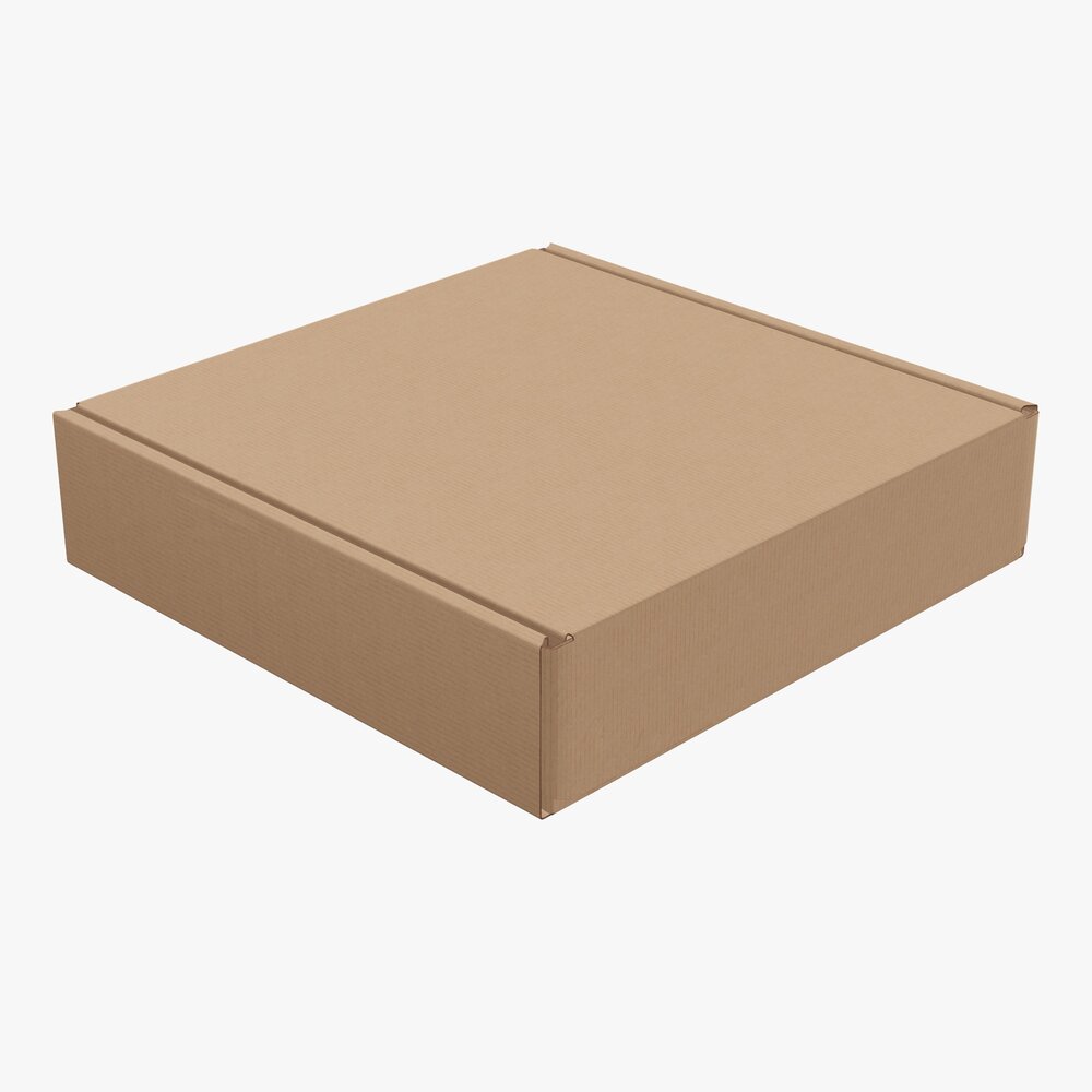 Corrugated Cardboard Paper Box Packaging 02 Modèle 3D