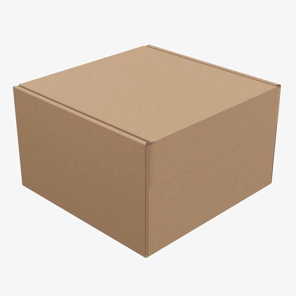 Corrugated Cardboard Paper Box Packaging 04 3D модель