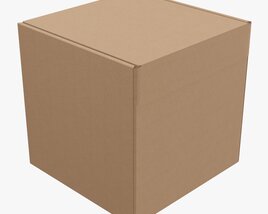 Corrugated Cardboard Paper Box Packaging 05 Modello 3D
