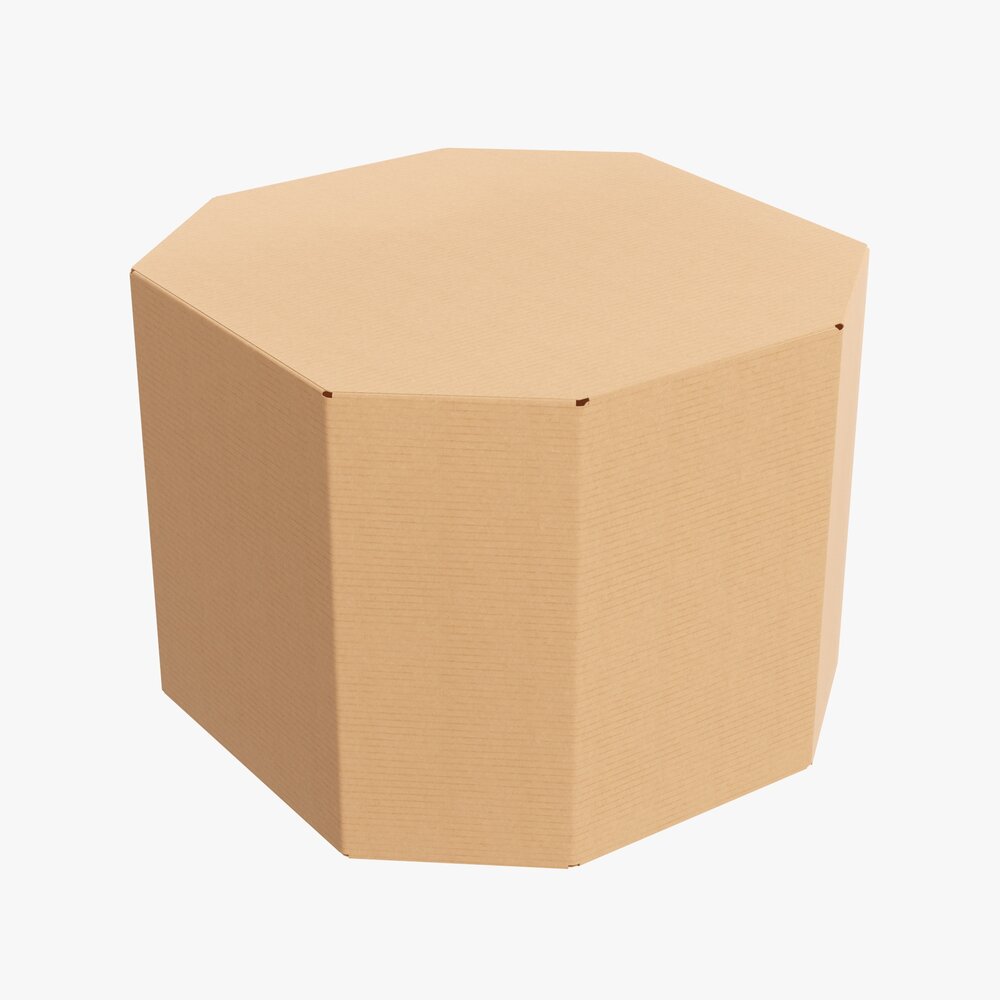 Corrugated Cardboard Paper Box Packaging 10 3D модель