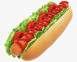 Hot Dog With Ketchup Salad Tomato 3D модель