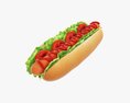 Hot Dog With Ketchup Salad Tomato 3D模型