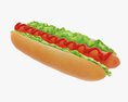 Hot Dog With Ketchup Salad Tomato Modelo 3d