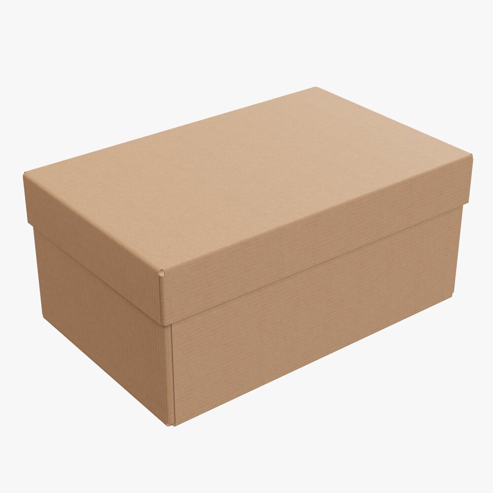 Lid And Try Cardboard Box 04 3D 모델 
