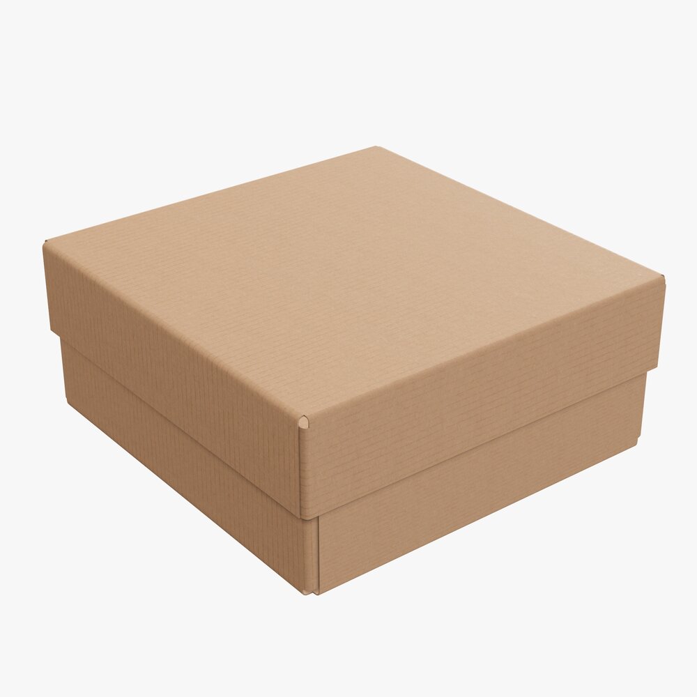 Lid And Try Cardboard Box 05 3D model
