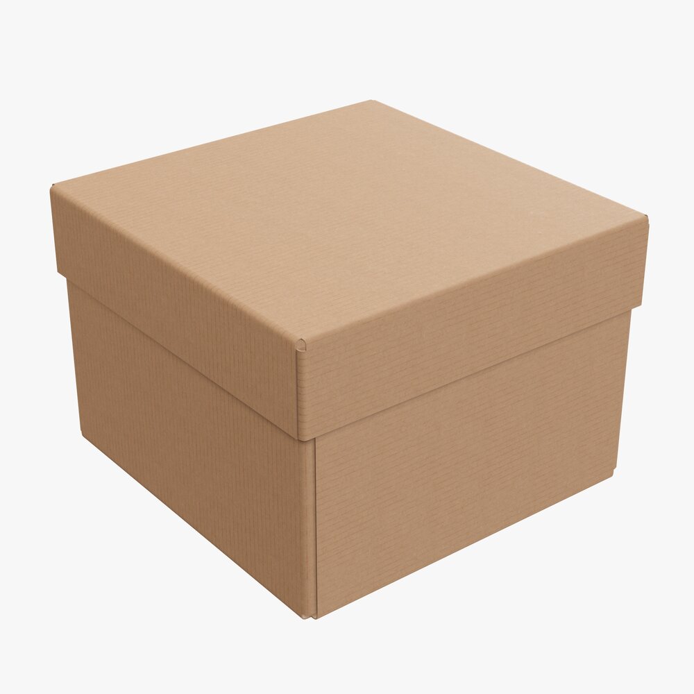 Lid And Try Cardboard Box 06 3D 모델 