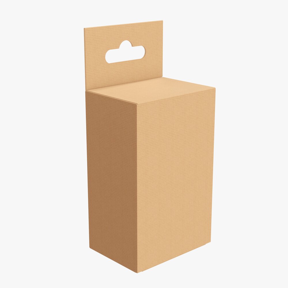 Retail Hanging Cardboard Box 02 Modèle 3d