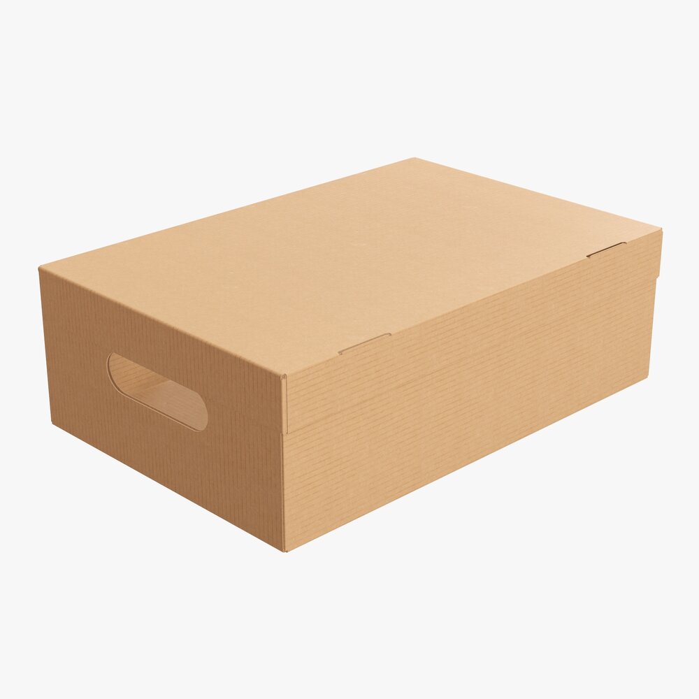 Shoes Cardboard Box Closed 3D模型