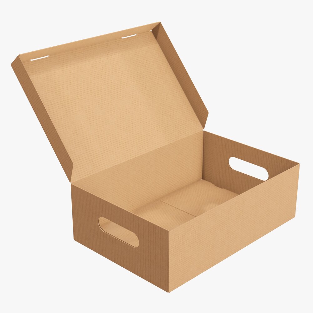 Shoes Cardboard Box Open Modèle 3D