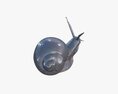 Snail Metal 3D 모델 