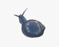 Snail Metal 3Dモデル